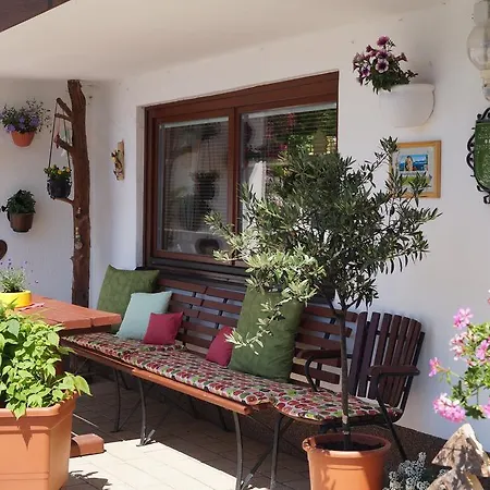 Haus Latschenheim 람자우 암 다흐스타인