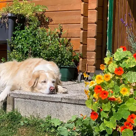 Haus Latschenheim Lägenhet *