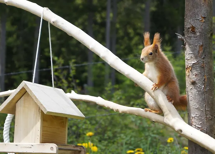 公寓 Haus Latschenheim 拉姆绍达赫斯坦